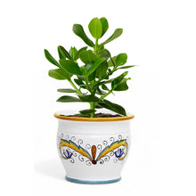 Load image into Gallery viewer, DERUTA PERUGINO: Outlet Special! Indoor-Outdoor Cachepot/Planter (Small)