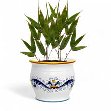 Load image into Gallery viewer, RICCO DERUTA: Outlet Special! Indoor-Outdoor Cachepot/Planter (Small)