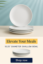 Load image into Gallery viewer, PORCELLAIN: Multi Purpose Dinner Plate/Shallow Bowl - Final Clearance Price - SET of 4 (10.25&quot; Diam.)
