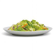Load image into Gallery viewer, PORCELLAIN: Multi Purpose Dinner Plate/Shallow Bowl - Final Clearance Price - SET of 4 (10.25&quot; Diam.)

