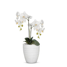Load image into Gallery viewer, ELEGANTE: Corteza - European Style Small Flower Pot Panna White (5.5&quot;H.)
