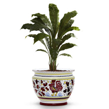 Load image into Gallery viewer, ORVIETO RED ROOSTER: Luxury Cachepot Planter Small - Artistica.com
