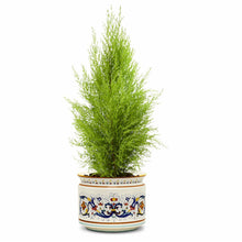 Load image into Gallery viewer, RICCO DERUTA: Cylindrical Cover Pot Ricco Deruta Design - Cachepot Planter (Large) - Artistica.com
