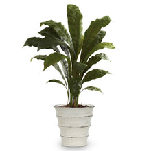 Load image into Gallery viewer, SCAVO RAGUSA: Authentic Art Deco style vase (Large)
